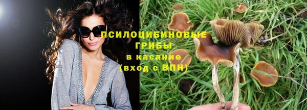 СК Абаза