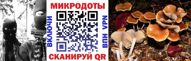 Галлюциногенные грибы мицелий  купить   Урус-Мартан 